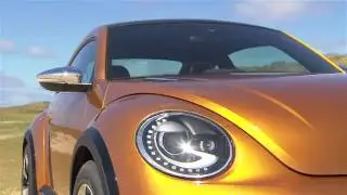 Beetle Dune Video