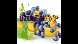 Burçlara göre MEYVELER🍇🍈🍉🍊🍋🍌🍍🍎🍏🍐🍑🍒🍓🥝🥥🥑