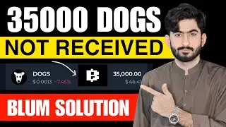 Blum Task 35000 Dogs Not Received | Blum Ton Transaction Task Solution For Dogs Coins