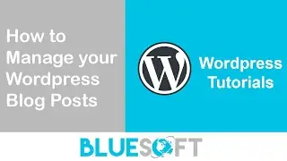 WordPress Tutorial - How to Create & Manage Wordpress Blog Posts