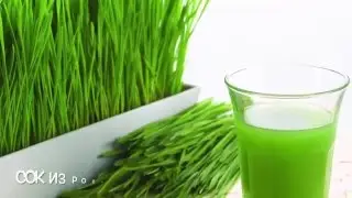 Коктейль Мятная трава