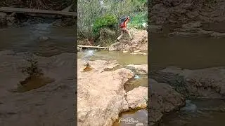 Цветение люпенов у ручья Фавор.