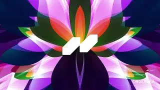 Yonathan x Yamin Bene x Dowle - Orquidea