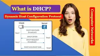 What is Dynamic Host Configuration Protocol? What is DHCP? Understand DHCP