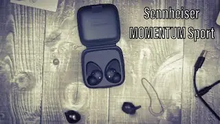 Sennheiser  Momentum Sport Earbuds