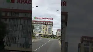 Как найти лучший магазин цветов в Нахабино
