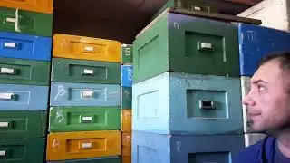 В гостях на промышленной пасеке Евгения Парадни