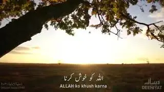 THE TRUE STORIES -1