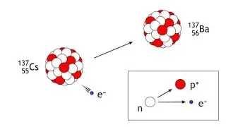 What is Beta Decay in Particle Physics?