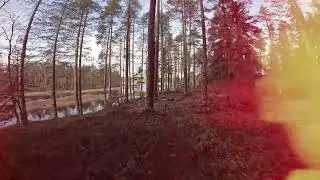 Volokinpolku 12.11.2022
