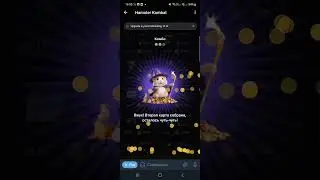 СЕКРЕТНЫЕ КОМБО КАРТЫ В ХАМСТЕР КОМБАТ 19-20 ИЮНЯ! Hamster kombat сегодня новые комбо в видео!
