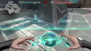 valorant breeze spike sage bug