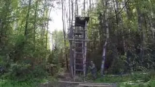 Лето в Кобре