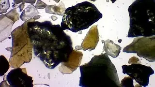 Gold Vs Pyrite: How To Tell Difference Under Microscope Prospector Guide -Secured Solutions