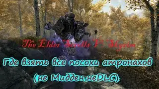 The Elder Scrolls V: Skyrim. Подсказка по посохам.