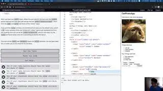 freeCodeCamp: Use the value attribute with Radio Buttons and Checkboxes