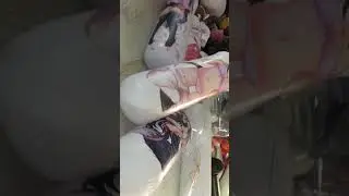 Air testing of inflatable anime pillow pop bag