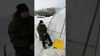 урожайность высокая
