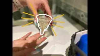 как осветлить менструальную  чашу