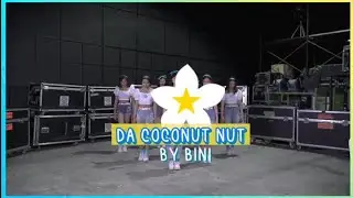 BINI DA COCONUT NUT PERFORMANCE