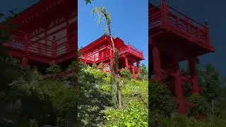 Краснодар Японский сад