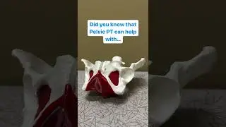 Did you know that Pelvic PT can help with...
