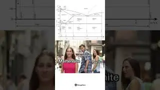 The iron-carbon phase diagram #meme