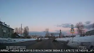 Собака умнее некоторых водил