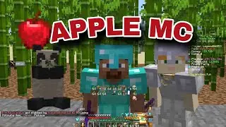 my bamboo farm in🍎apple mc server