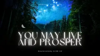 You may live and prosper - Deuteronomy 5:28-33