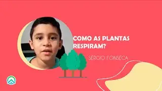 Como as plantas respiram? #12