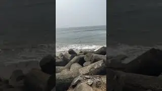 Goa diaries #relaxing #travelvlog #viralvideos #bestbeach #shortvideos #kalaastar #goa #querimbeach
