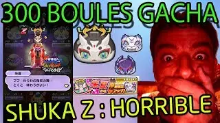SHUKA Z 300 BOULES AU BINGOKAI ??? - PUNI PUNI 165