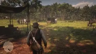 Red Dead Redemption 2 weird invisible skin glitch