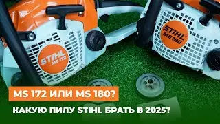 STIHL MS 172 or the time-tested MS 180? Which STIHL chainsaw should you buy in 2025?