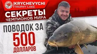УРОК 1. Рыбалка на карпа. Поводок, стоимостью 500 долларов!