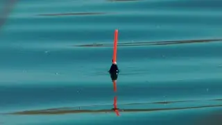 FLOAT AND BOTTOM FISHING! Lake Balkhash. Spring fishing.