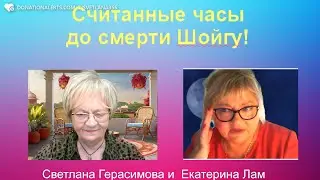 На кухне у Катюши. До смерти Шойгу - считанные часы. Лавров - дипфейк. У Пугачевой отнимут детей