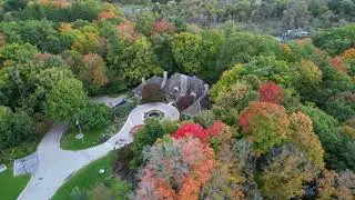 Start of Beautiful Fall Colors in the Urban City | Fall 2024