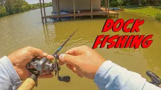 How To Catch Fish Around Docks: Summer Fishing Tips