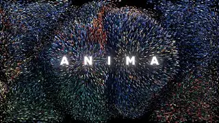 RYSY - Anima