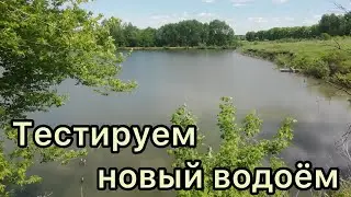 Тестируем новый водоём! Рыба есть!