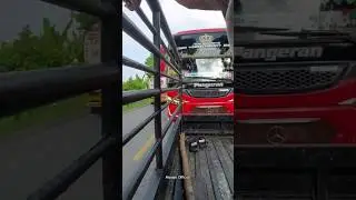 Niat minta telolet malah di tabrak..... #teloletbasuri #bus #shorts