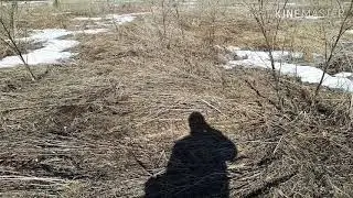 Поиск металла и новое место(большая находка,которую не смогли достать)