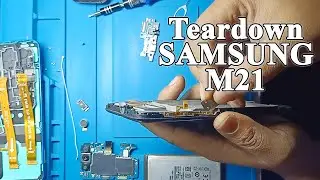 M21 full Teardown