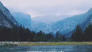 Благодарности