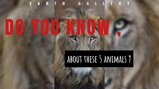 Do you know about these 5 ?