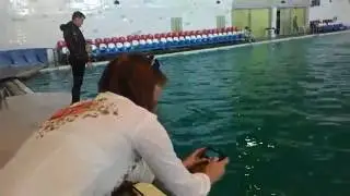 Партенит. Дельфины Афалина.
