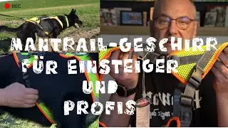 Das Mantrailgeschirr für Einsteiger und Profis