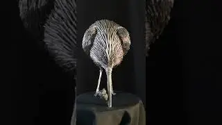 VID 20200210 092219